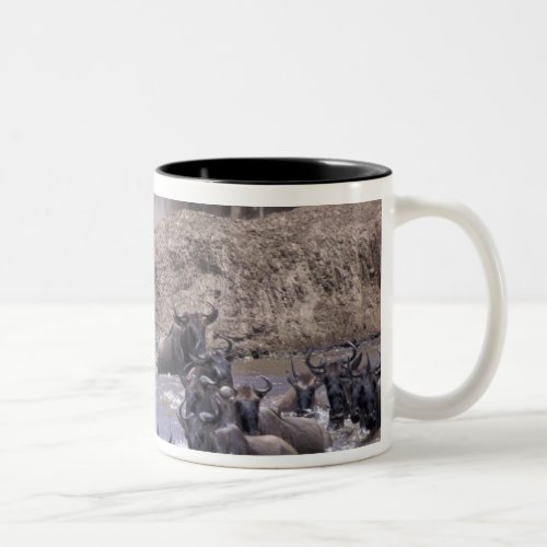 Africa Kenya Masai Mara National Park Two_Tone Coffee Mug
