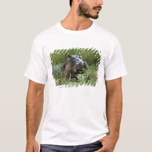 Africa, Kenya, Masai Mara NR. A mother hippo T-Shirt