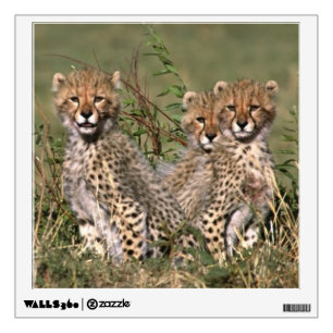 Africa; Kenya; Masai Mara; Three cheetah cubs Wall Sticker