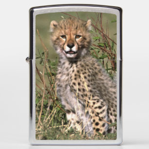 Africa; Kenya; Masai Mara; Three cheetah cubs Zippo Lighter