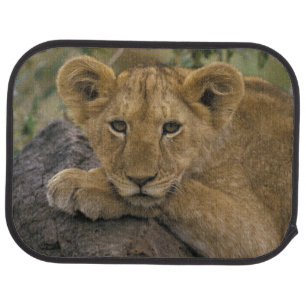 Africa, Kenya. Portrait of a lion. Car Mat