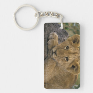 Africa, Kenya. Portrait of a lion. Keychain