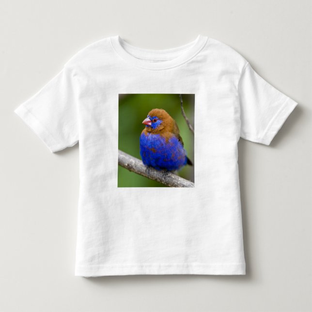 Africa. Kenya. Purple Grenadier Toddler T-shirt (Front)