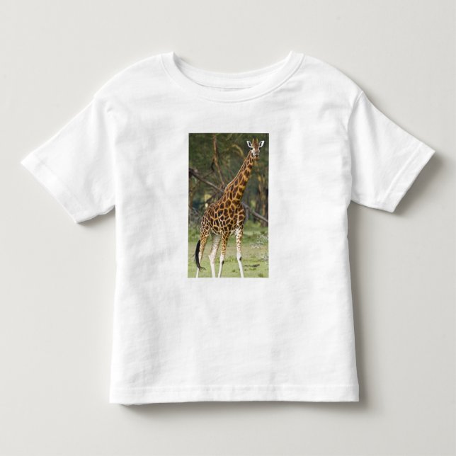 Africa. Kenya. Rothschild's Giraffe at Lake 2 Toddler T-shirt (Front)
