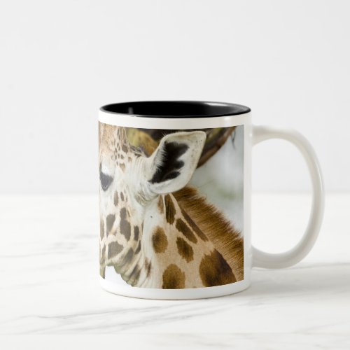 Africa Kenya Rothschilds Giraffe at Lake 3 Two_Tone Coffee Mug