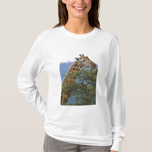 Africa Kenya Rothschilds Giraffe at Lake T_Shirt