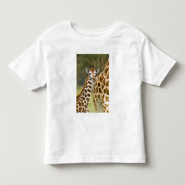 Africa. Kenya. Rothschild's Giraffe baby Toddler T-shirt (Front)