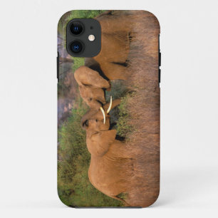Africa, Kenya, Samburu. Elephant challenge iPhone 11 Case
