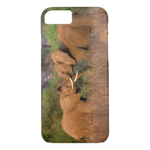 Africa, Kenya, Samburu. Elephant challenge iPhone 8/7 Case