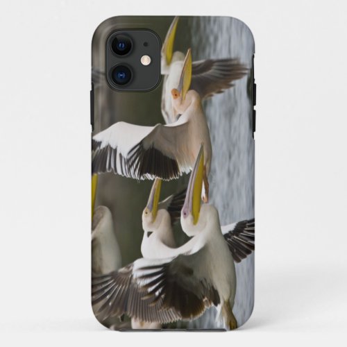 Africa Kenya White Pelicans in flight at Lake iPhone 11 Case