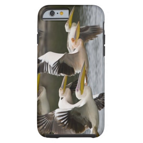 Africa Kenya White Pelicans in flight at Lake Tough iPhone 6 Case