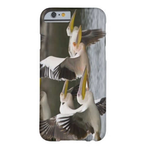 Africa Kenya White Pelicans in flight at Lake Barely There iPhone 6 Case