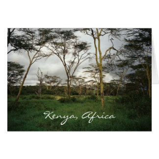 Africa Kenya wild land Cards