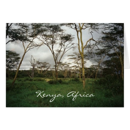 Africa Kenya wild land Cards (Front Horizontal)