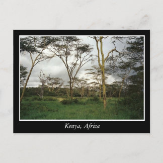 Africa Kenya wild land Postcard