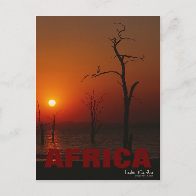 Africa Lake Kariba Sunset Postcard (Front)