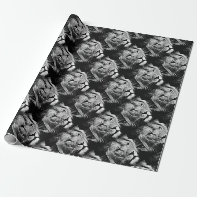 africa lion male closeup macro wrapping paper (Unrolled)