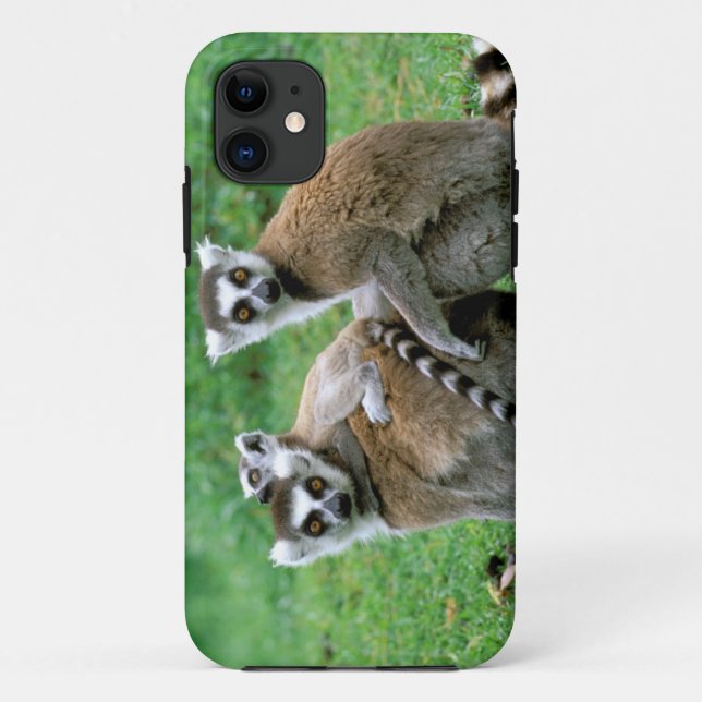 Africa, Madagascar, Antananarivo, Tsimbazaza Case-Mate iPhone Case (Back)