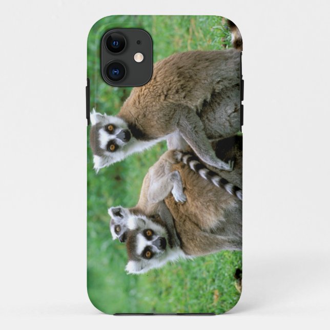 Africa, Madagascar, Antananarivo, Tsimbazaza Case-Mate iPhone Case (Back)