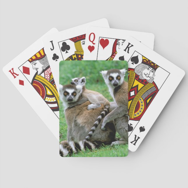 Africa, Madagascar, Antananarivo, Tsimbazaza Poker Cards (Back)
