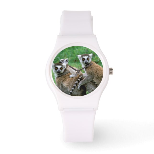 Africa, Madagascar, Antananarivo, Tsimbazaza Watch (Front)