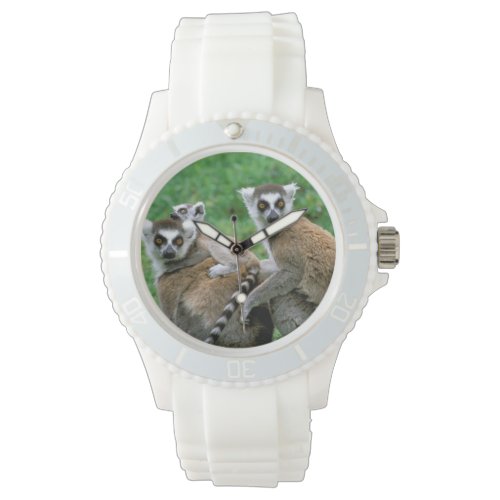 Africa, Madagascar, Antananarivo, Tsimbazaza Wrist Watch