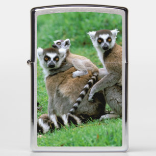 Africa, Madagascar, Antananarivo, Tsimbazaza Zippo Lighter