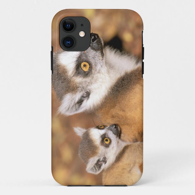Africa, Madagascar, Berenty Private Reserve. Case-Mate iPhone Case (Back)