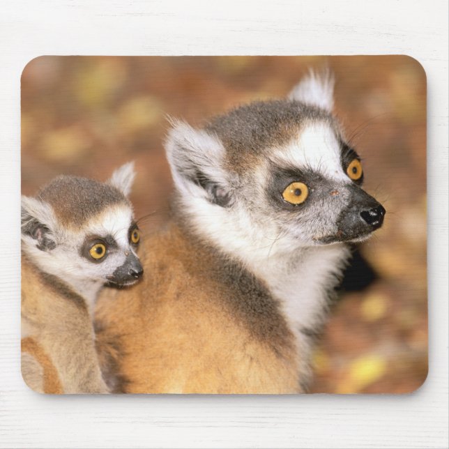 Africa, Madagascar, Berenty Private Reserve. Mouse Pad (Front)