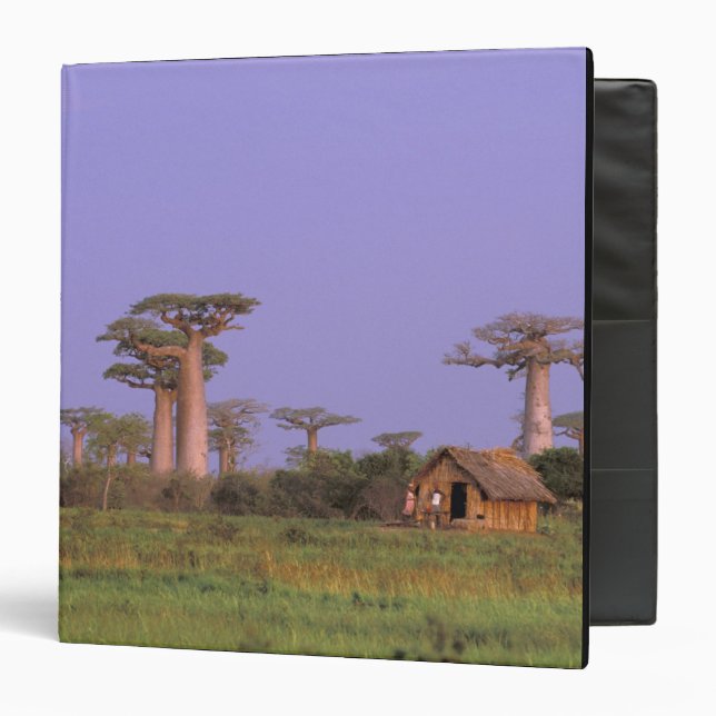 Africa, Madagascar, Morondava. Baobabs Binder (Front/Inside)