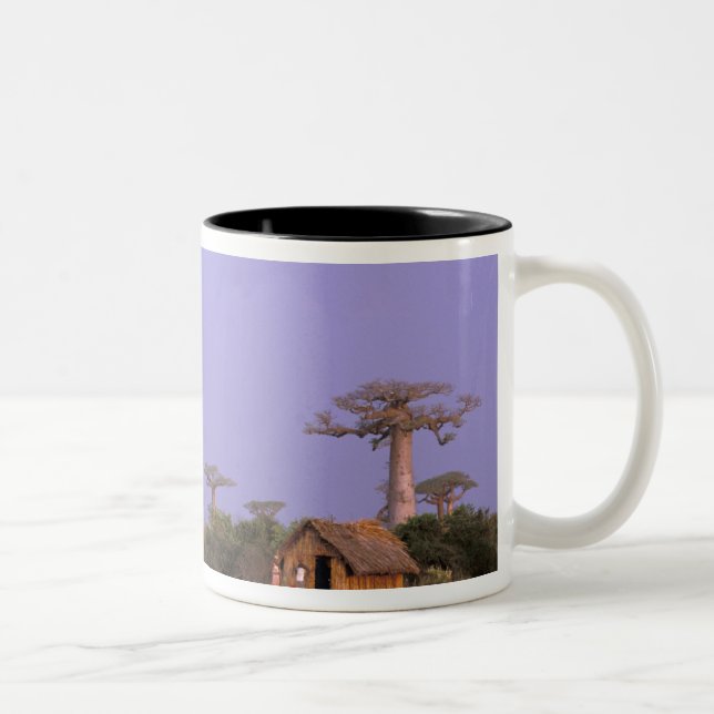 Africa, Madagascar, Morondava. Baobabs Two-Tone Coffee Mug (Right)