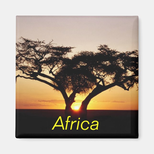 Africa magnet (Front)