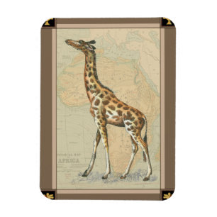 Africa Map and a Giraffe Magnet