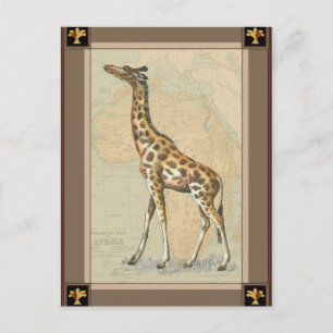 Africa Map and a Giraffe Postcard