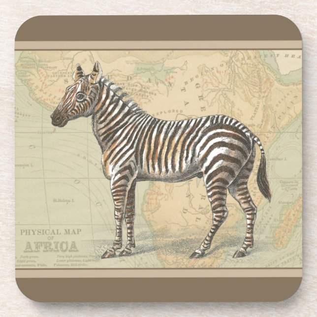 Africa Map and a Zebra Drink Coaster (Front)