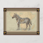 Africa Map and a Zebra Postcard