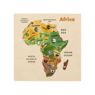 Africa Map with Flags Wood Wall Art