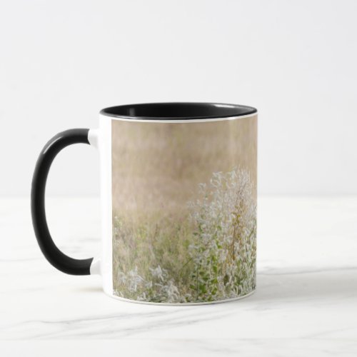 Africa Namibia Etosha National Park 2 Mug