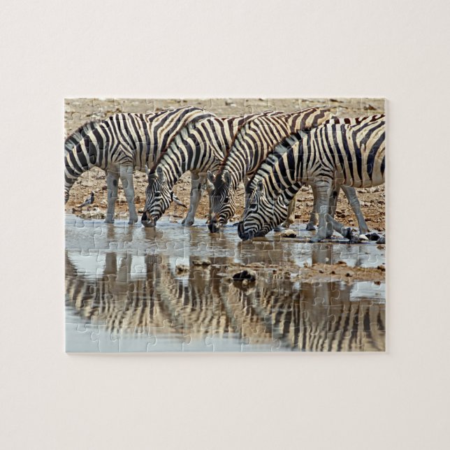 Africa, Namibia, Etosha NP. Burchell's Zebra Jigsaw Puzzle (Horizontal)