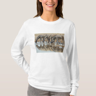 Africa, Namibia, Etosha NP. Burchell's Zebra T-Shirt