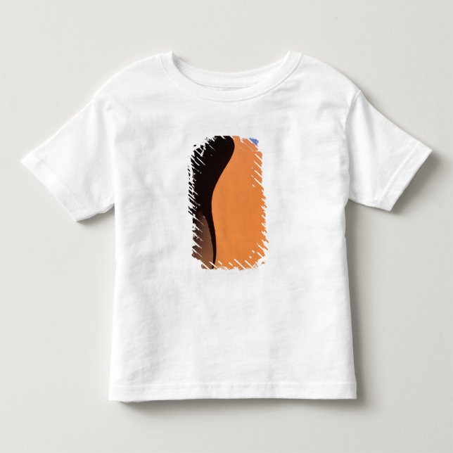 Africa, Namibia, Evening light on dunes, Toddler T-shirt (Front)