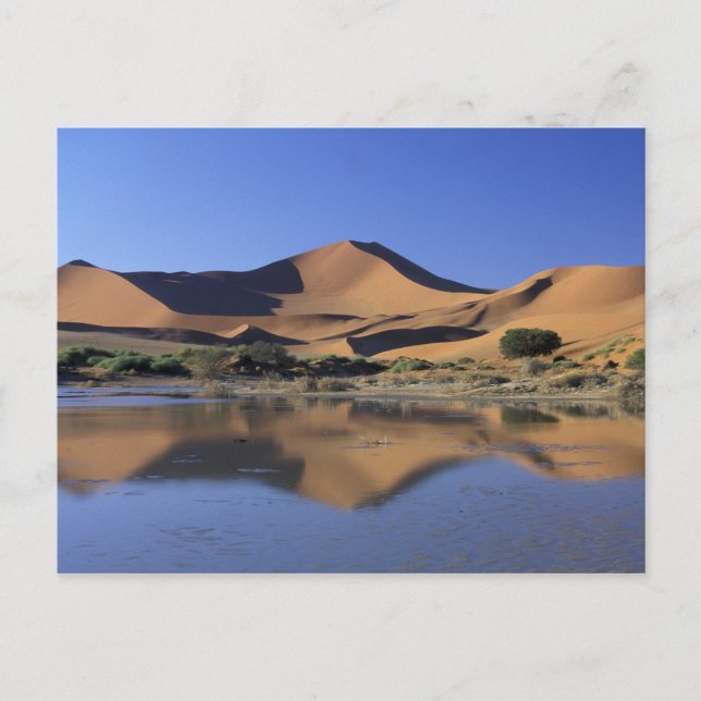 Africa, Namibia, Namib National Park, Sossusvlei 2 Postcard (Front)
