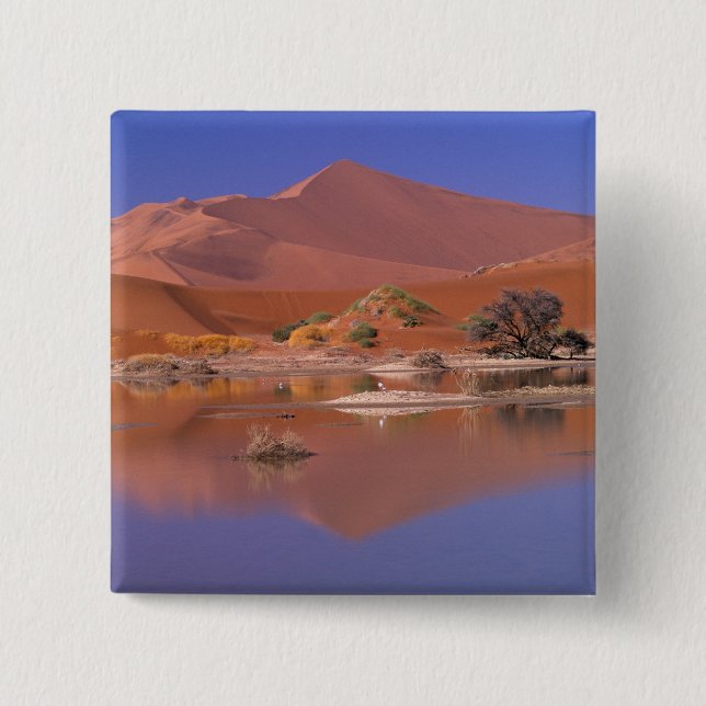 Africa, Namibia. Namib-Naukluft Park. 2 Pinback Button (Front)