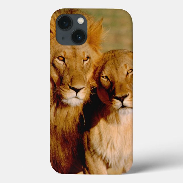 Africa, Namibia, Okonjima. Lion & lioness Case-Mate iPhone Case (Back)