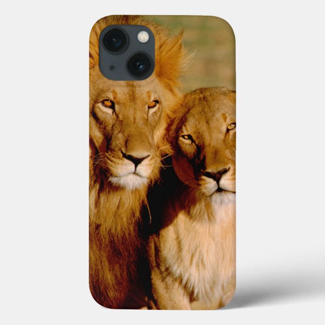 Africa, Namibia, Okonjima. Lion & lioness Case-Mate iPhone Case (Back)