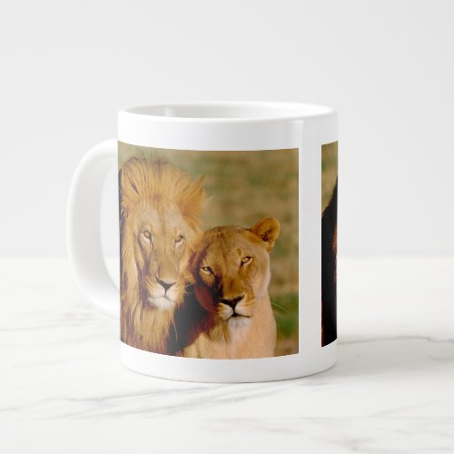 Africa Namibia Okonjima Lion  lioness Giant Coffee Mug