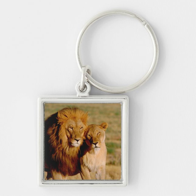 Africa, Namibia, Okonjima. Lion & lioness Keychain (Front)
