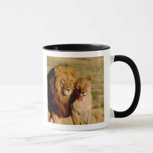 Africa Namibia Okonjima Lion  lioness Mug