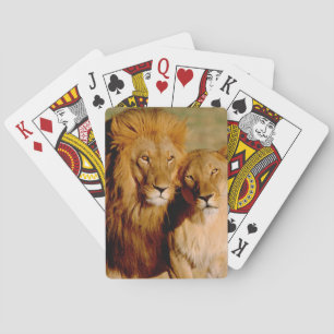 Africa, Namibia, Okonjima. Lion & lioness Poker Cards