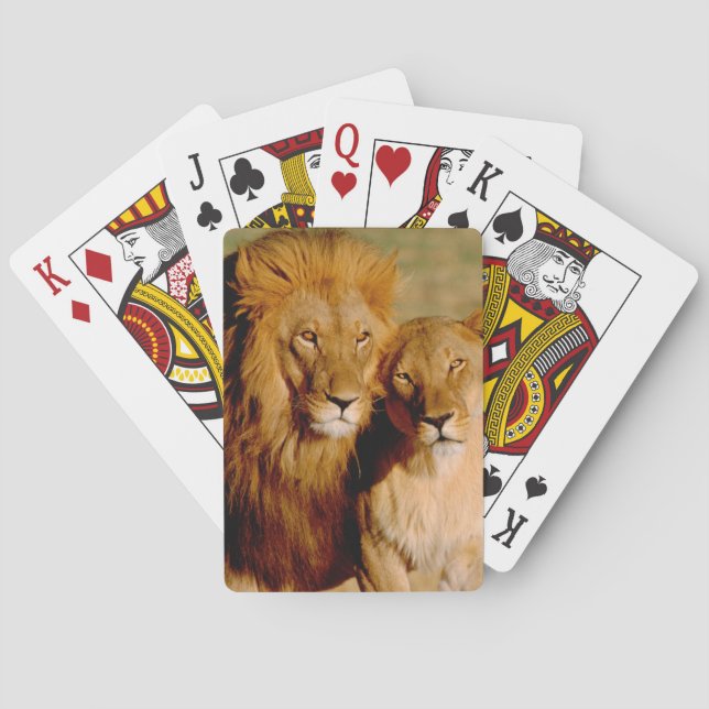 Africa, Namibia, Okonjima. Lion & lioness Poker Cards (Back)